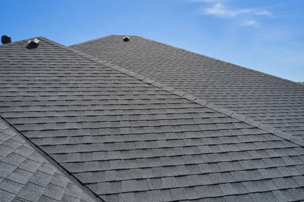 Best Roof Insulation Installation  in USA